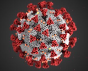 According to WHO, new coronavirus variants are substantially spreading globally.
