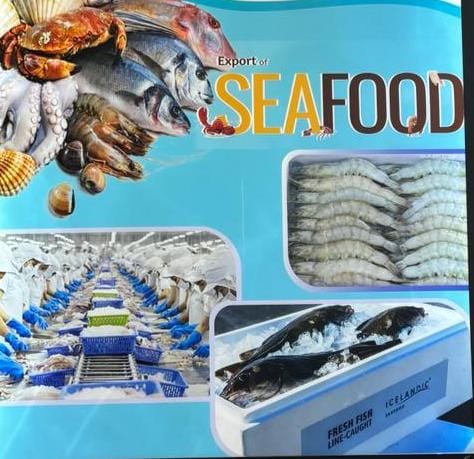 Kerala Fisheries Receives Acclaim at IITF Trade Fair 2023: A Showcase of Sustainable Development and Community Well-being