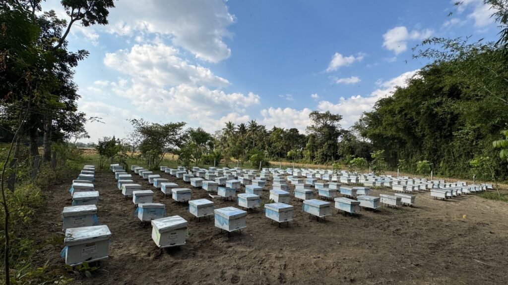 Madhepura DM Declares Ramganj Initiative a Benchmark for North Bihar; Applauds Ramalaya Foundation and CSIR–NBRI for Scientific Leadership