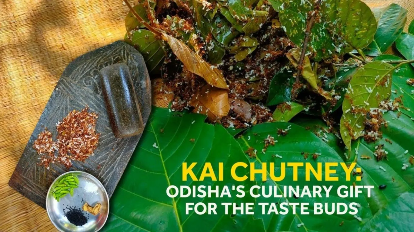 The Forest Pharmacy of Mayurbhanj: Inside Odisha’s Red Ant Chutney and Its Ancient Healing Knowledge