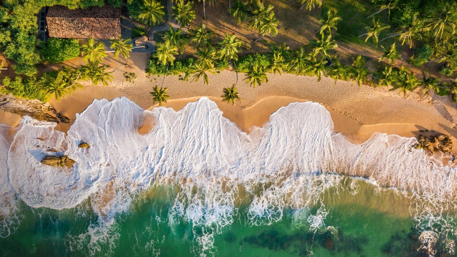 Sri Lanka Tourism Expands Its Gujarat Outreach with Dedicated Travel Trade Roadshow in Ahmedabad