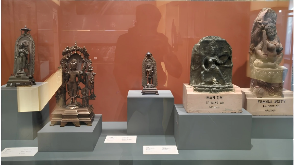 From Mauryan Heritage to Mithila Art, Bihar Museum Captivates Visitors with Its Rich Legacy